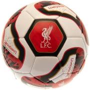 Accessoire sport Liverpool Fc TA10686