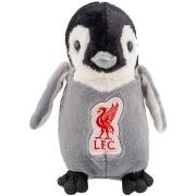 Accessoire sport Liverpool Fc TA11547