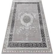 Tapis Rugsx Tapis BLISS Z160AZ246 gris foncé / gris 200x290 cm