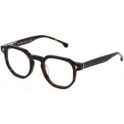 Lunettes de soleil Lozza VL4325 SANREMO 1 Cadres Optiques, Havana, 49 ...