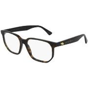 Lunettes de soleil Bottega Veneta BV1097O Cadres Optiques, Havana, 54 ...