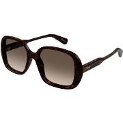 Lunettes de soleil Chloe CH0222S Lunettes de soleil, Havana/Marron, 55...