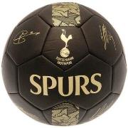 Accessoire sport Tottenham Hotspur Fc Phantom