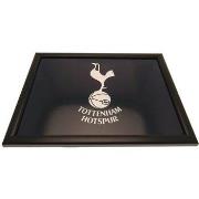 Accessoire sport Tottenham Hotspur Fc TA9557