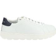 Baskets basses Geox Sneaker