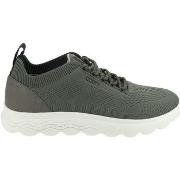 Baskets basses Geox Sneaker