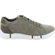 Baskets basses Geox Sneaker