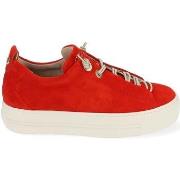 Baskets basses Paul Green Sneaker