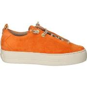 Baskets basses Paul Green Sneaker