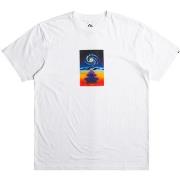 T-shirt Quiksilver MW Logo