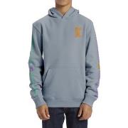 Sweat-shirt DC Shoes Sportster