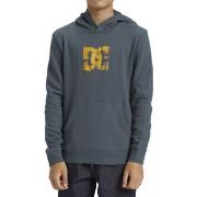 Sweat-shirt DC Shoes Sketchy