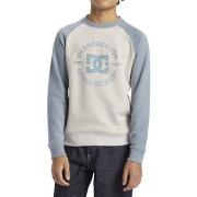 Sweat-shirt DC Shoes DC Star Pilot