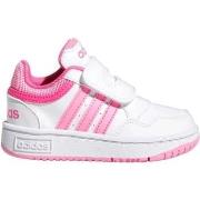 Chaussures adidas -