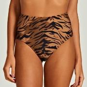 Maillots de bain Triya 2024 Tiger