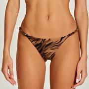 Maillots de bain Triya 2024 Tiger