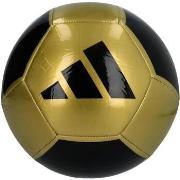 Ballons de sport adidas Epp clb