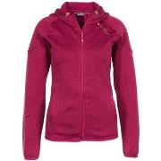 Polaire Peak Mountain Blouson polaire femme ATORA