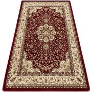 Tapis Rugsx Tapis ROYAL AGY modèle 0521 bordeaux 150x300 cm