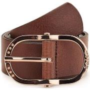 Ceinture Salsa Ceinture SWAROVSKI Marron