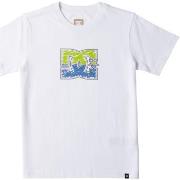 T-shirt DC Shoes DC Star Inline