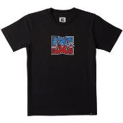 T-shirt DC Shoes DC Star Inline