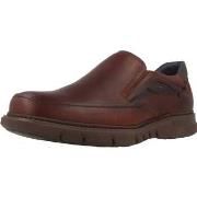 Derbies Fluchos F0249