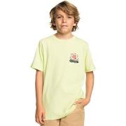 Chemise enfant Quiksilver Porpoises