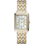 Montre Fossil Montre Femme