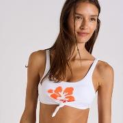 Maillots de bain Banana Moon NOUO ISLANDGIRL