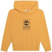 Sweat-shirt enfant Timberland 163468VTPE24