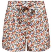 Short Only 162168VTPE24