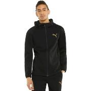 Sweat-shirt Puma Evostripe Fz Hoodie