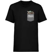 T-shirt Star Wars: The Mandalorian Precious Cargo