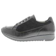 Baskets Jj Footwear Aria H