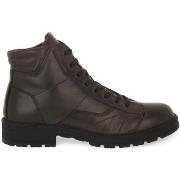 Bottes IgI&amp;CO CONRAD CAFFE