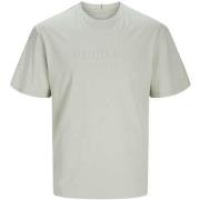 T-shirt Jack &amp; Jones 168387VTAH24