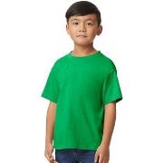 T-shirt enfant Gildan GD15B