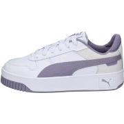 Baskets Puma 393846-12