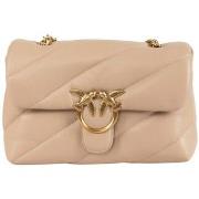 Sac Pinko Sac Femme