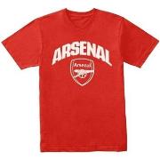 T-shirt Arsenal Fc BS3666