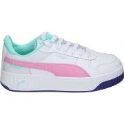 Chaussures Puma 393846-11