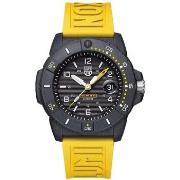 Montre Luminox XS.3601.GF, Quartz, 45mm, 20ATM