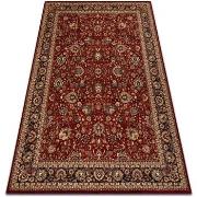 Tapis Rugsx Tapis en laine KASHQAI 4362 300 ornement 67x130 cm