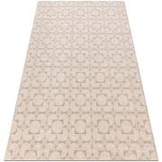 Tapis Rugsx Tapis Laine ANGEL 7887 / 52022 Géométrique 80x150 cm