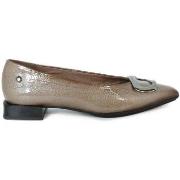 Chaussures Aplauso BAILARINA PUNTA AFILADA CON MAXIHEBILLA 5852 TOPO