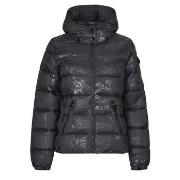 Doudounes Desigual PADDED DRAMMEN