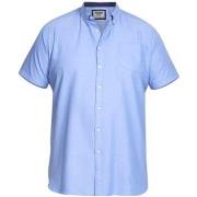 Chemise Duke D555 James