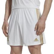 Short adidas H39905