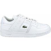 Baskets basses Lacoste Sneaker